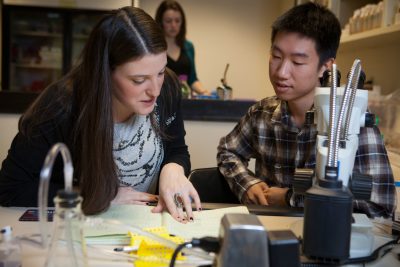 Eliana Jacobsen and Christopher Cheng, participants in the Undergraduate Research Board (CURB) Peer Mentoring Program